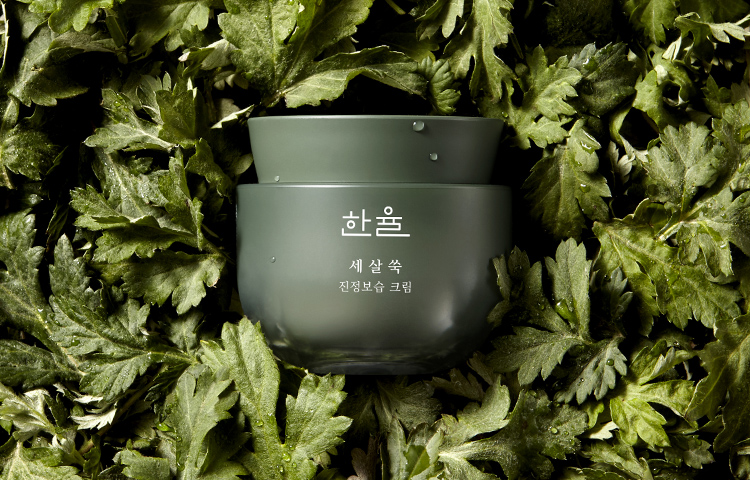 세살쑥 제품