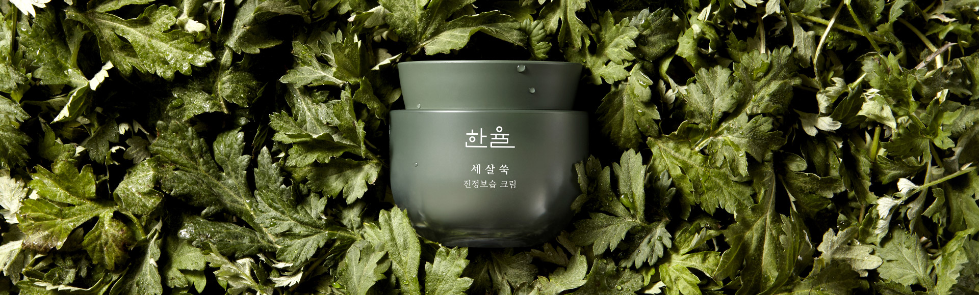 세살쑥 제품