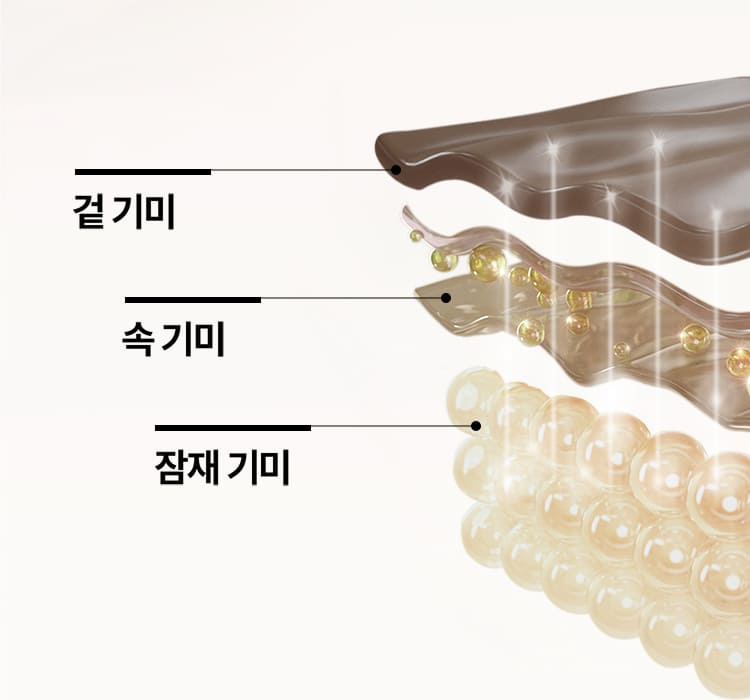 겉 기미 / 속 기미 / 잠재 기미