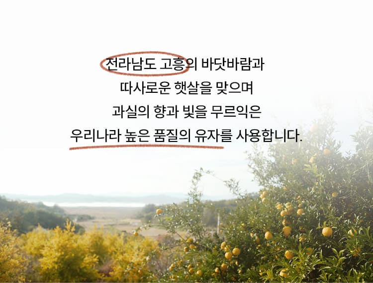 전라남도 고흥의 바닷바람과 따사로운 햇살을 맞으며 과실의 향과 빛을 무르익은 우리나라 높은 품질의 유자를 사용합니다.