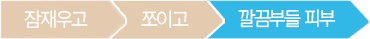 잠재우고/쪼이고/깔끔부들 피부 순서 중 깔끔부들 피부