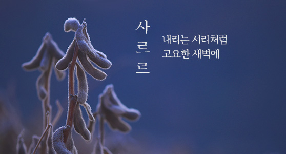 사르르, 내리는 서리처럼 고요한 새벽에