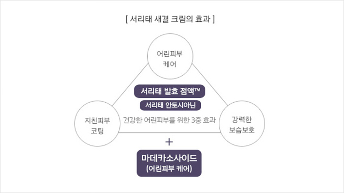 서리태 새결 크림의 효과