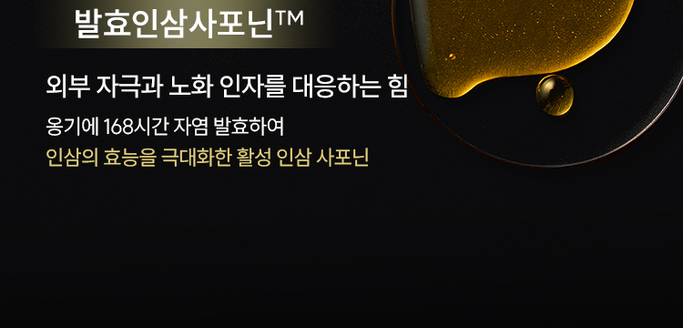 발효인삼사포닌™ / 외부 자극과 노화 인자를 대응하는 힘 옹기에 168시간 자염 발효하여 인삼의 효능을 극대화한 활성 인삼 사포닌