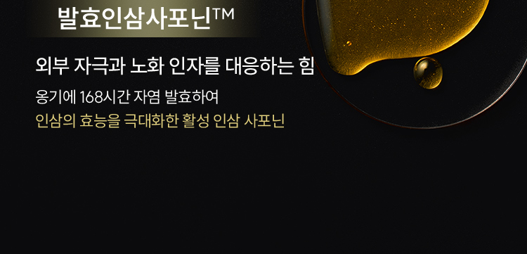 발효인삼사포닌™ / 외부 자극과 노화 인자를 대응하는 힘 옹기에 168시간 자염 발효하여 인삼의 효능을 극대화한 활성 인삼 사포닌 