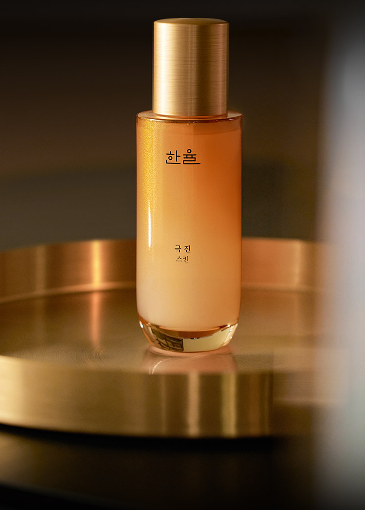 한율 극진 스킨