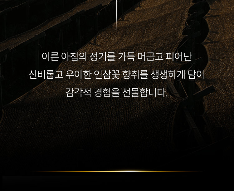 이른 아침의 정기를 가득 머금고 피어난 신비롭고 우아한 인삼꽃 향취를 생생하게 담아 감각적 경험을 선물합니다.