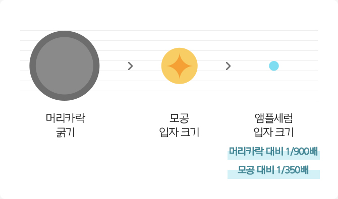 앰플세럼 입자 크기가 머리카락 대비 1/900배, 모공 대비 1/350배