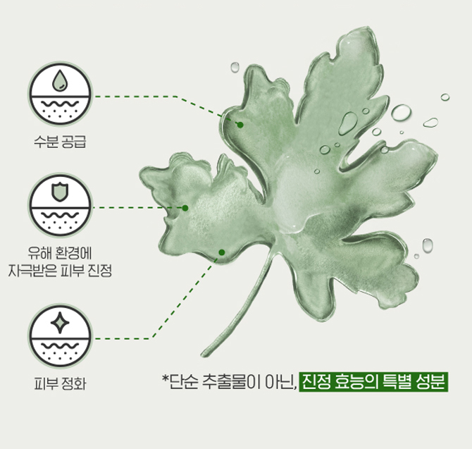 수분 공금, 유해 환경에 자극받은 피부 진정, 피부 정화, * 단순 추출물이 아닌, 진정 효능의 특별 성분