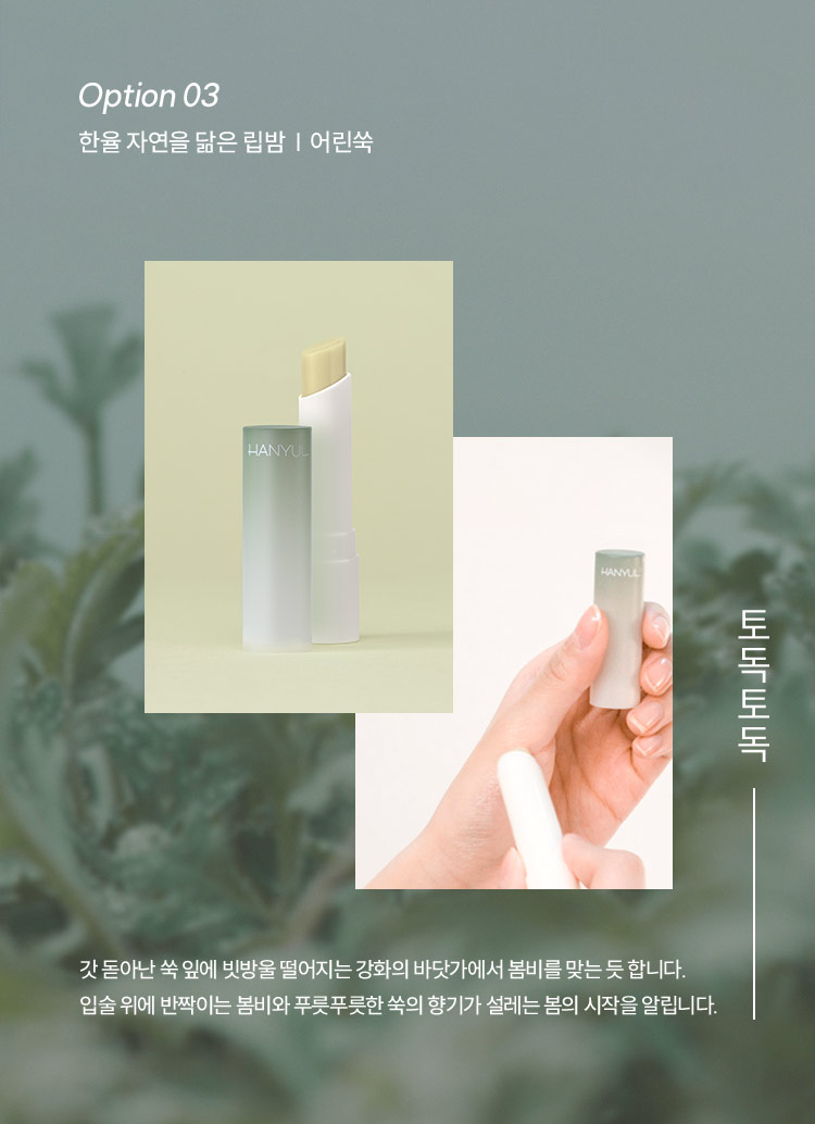 Option 03 한율 자연을 닮은 립밤 어린쑥 - 갓 돋아난 쑥 잎에 빗방울 떨어지는 강화의 바닷가에서 봄비를 맞는 듯 합니다. 입술 위에 반짝이는 봄비와 푸릇푸릇한 쑥의 향기가 설레는 봄의 시작을 알립니다.