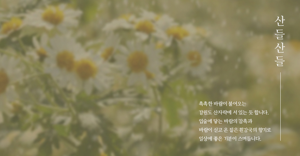 산들산들, 촉촉한 바람이 불어오는 강원도 산자락에 서 있는 듯 합니다. 입술에 닿는 바람의 감촉과 바람이 싣고 온 짙은 흰감국의 향기로 일상에 좋은 기분이 스며듭니다.