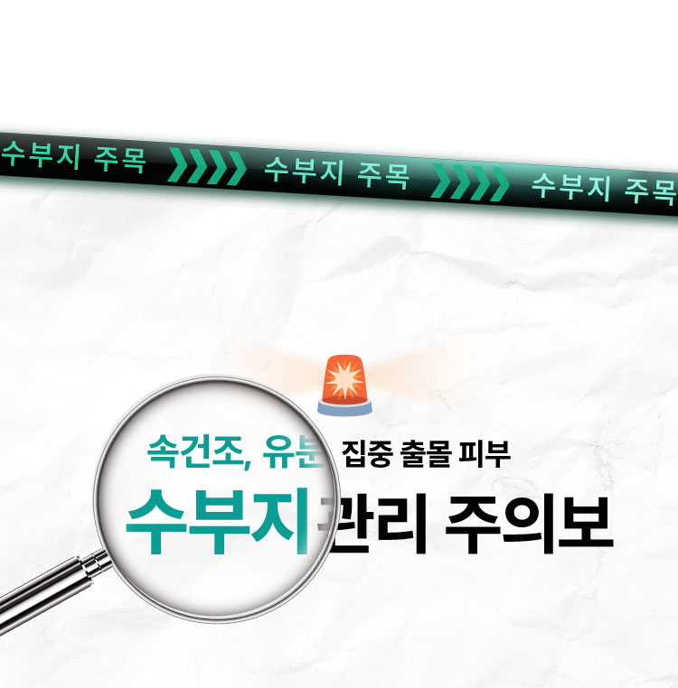수부지 주목 속건조, 유분 집중 출몰 피부 수부지 관리 주의보