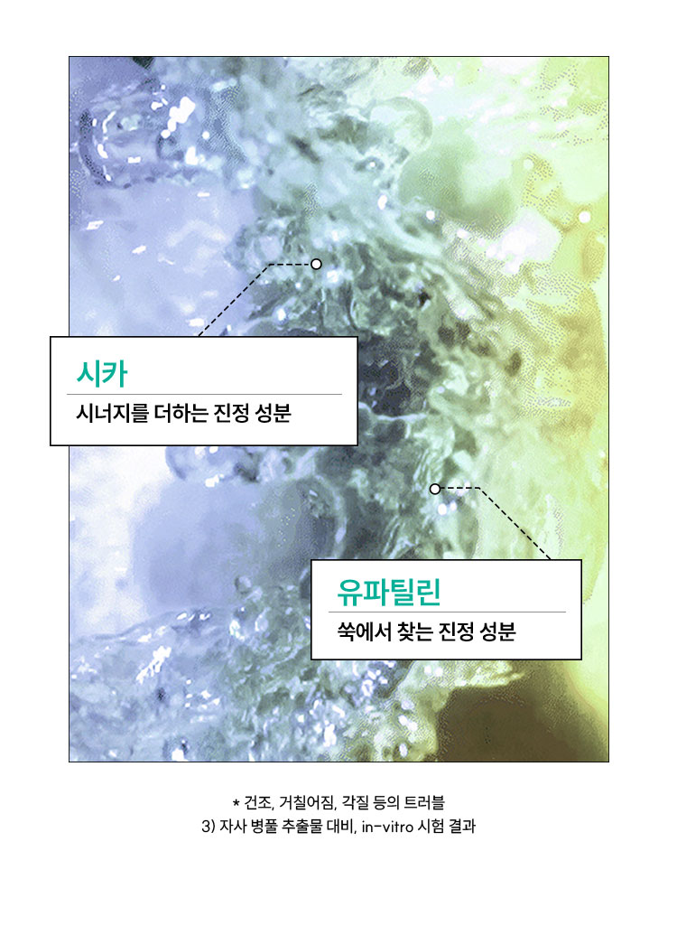 시카시너지를 더하는 진정 성분 유파틸린쑥에서 찾는 진정 성분
