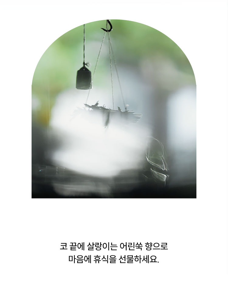 코 끝에 살랑이는 어린쑥 향으로 마음에 휴식을 선물하세요.