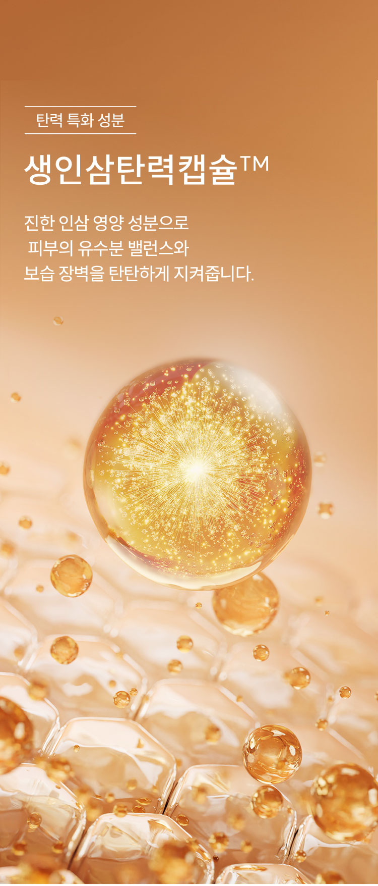 탄력 특화 성분 생인삼탄력캡슐TM