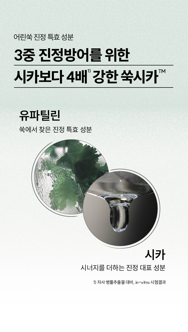 어린쑥 진정 특효 성분 3중 진정방어를 위한 시카보다 4배 강한 쑥시카
