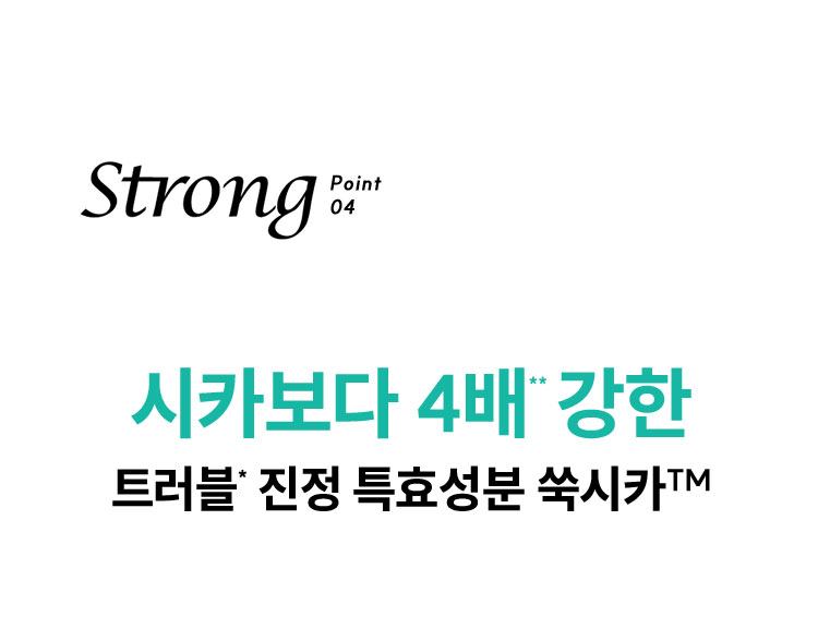 Strong point 04