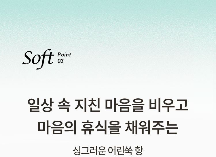 soft point03