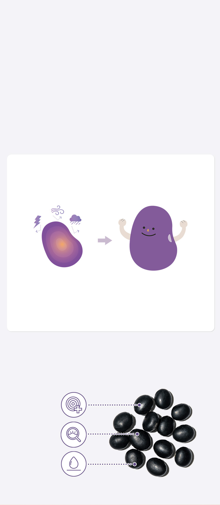 혹독한 환경에 더욱 단단해지고 차오르는 콩 이미지