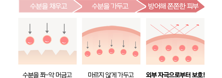 1. 수분을 쫘악 채우고, 2. 수분을 마르지 않게 가두고, 3. 외부 자극으로부터 방어해 쫀쫀한 피부