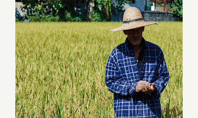 빨간쌀 라인 쌀 재배자 이정모 농부