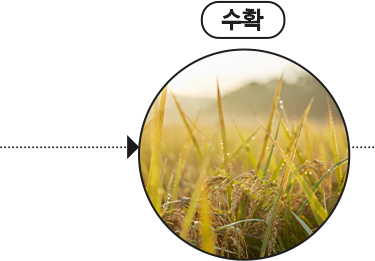 수확