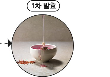 1차 발효