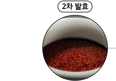 2차 발효