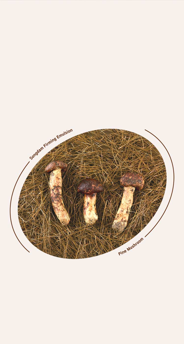 Songdam Firming Emulsion Pine Mushroom