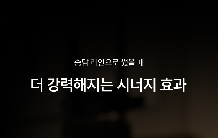 송담 라인으로 썼을 때 더 강력해지는 시너지 효과