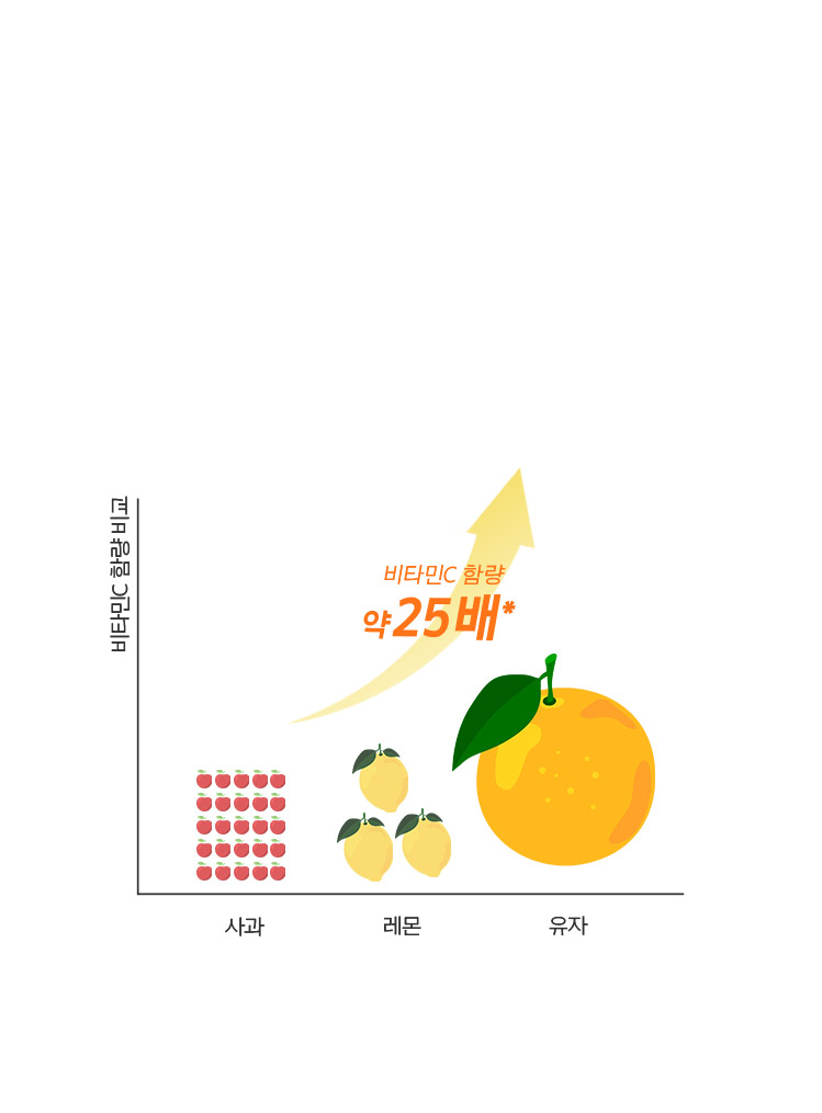 사과,레몬 대비 유자의 비타민c함량비교 